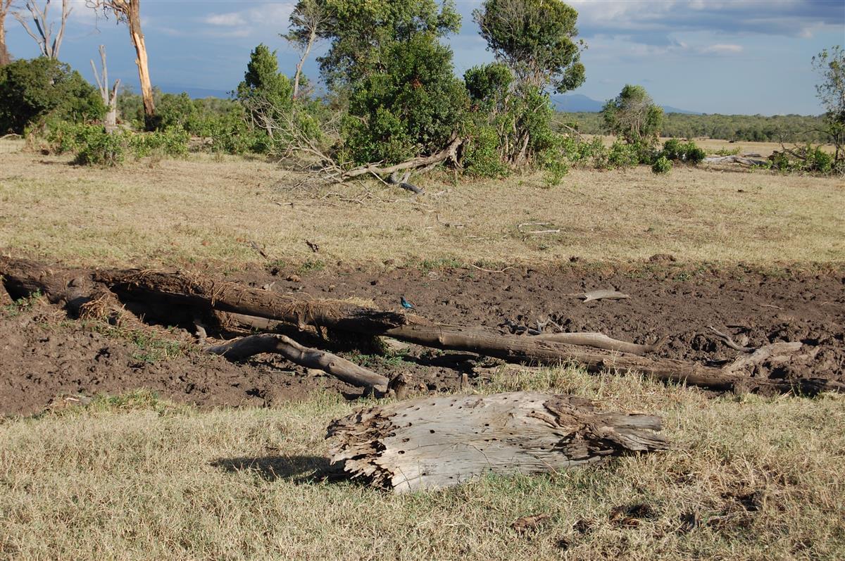 Most of the country remains dry from the draught